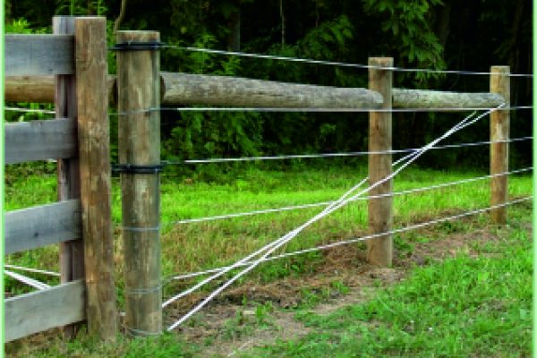 July fencing